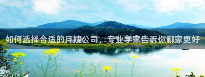 杏悦招商地址