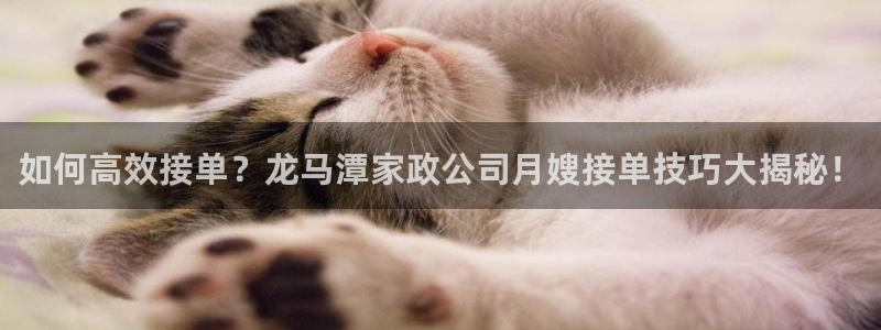 杏悦平台公司介绍