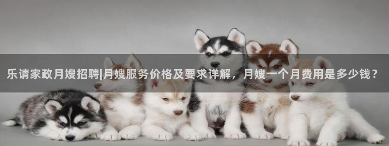 杏悦靠谱吗