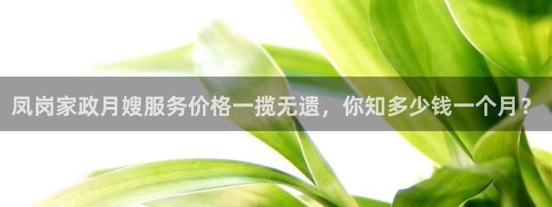 杏悦总代理