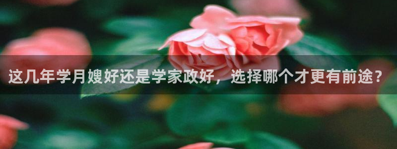 杏悦1招商地址