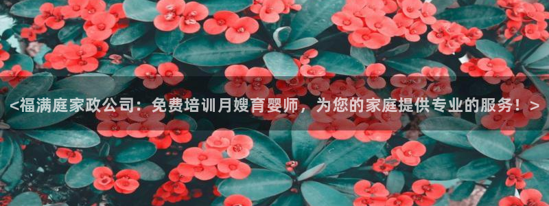杏悦平台代理怎么做的