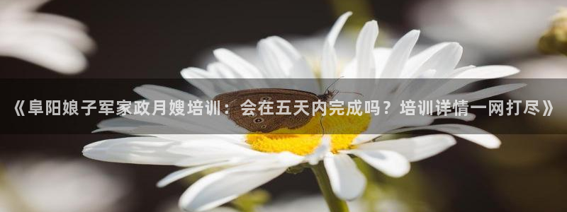 杏悦是什么