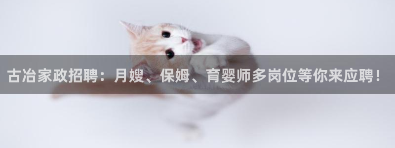 杏悦娱乐平台靠谱吗