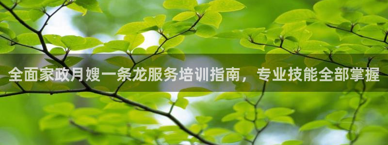 杏悦t首选推荐平台