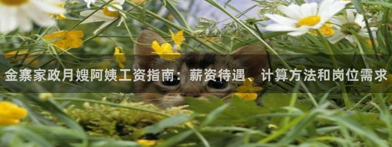 杏悦是什么