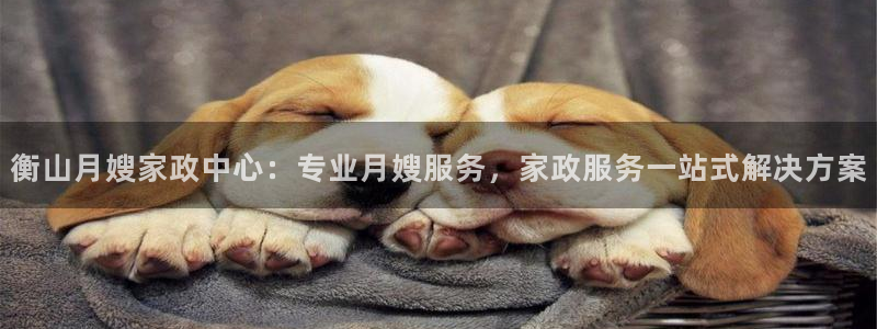 杏悦平台主管