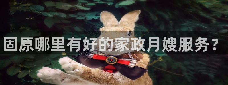 杏悦平台主管