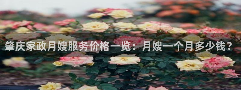 杏悦平台如何
