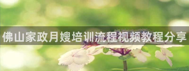 杏悦官方平台官网入口