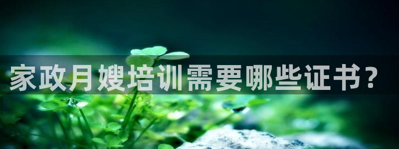 杏悦娱乐怎么玩