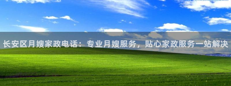 杏悦官方平台官网入口