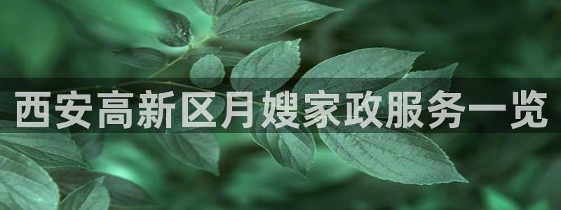 杏悦平台代理怎么做赚钱