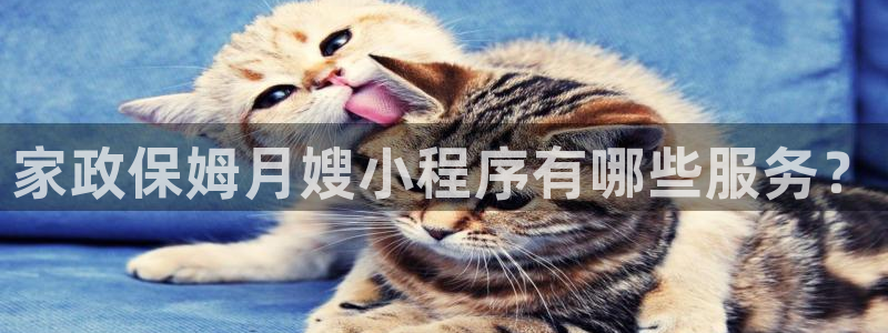 杏悦招商地址