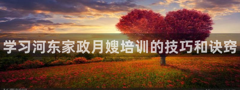 杏悦 -首选推荐平台