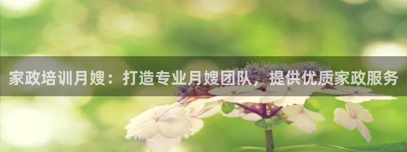 杏悦平台代理怎么做赚钱