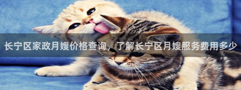 杏悦是什么平台