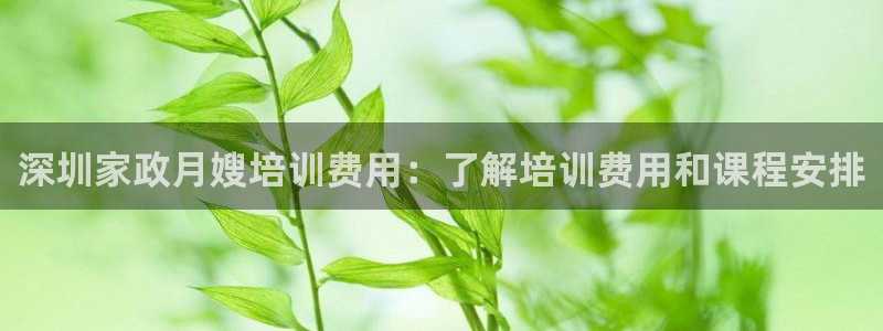 杏悦平台开户地址