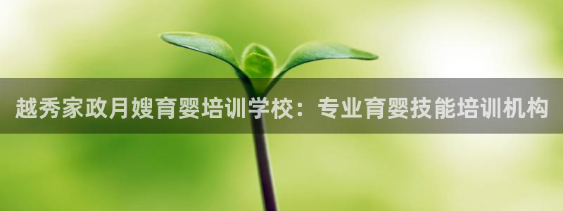 杏悦平台线路测速