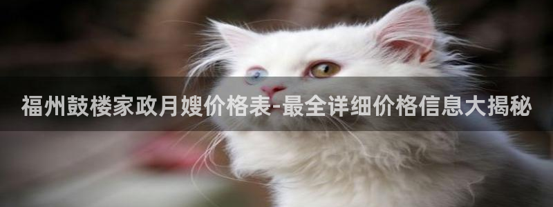 杏悦官方平台官网入口