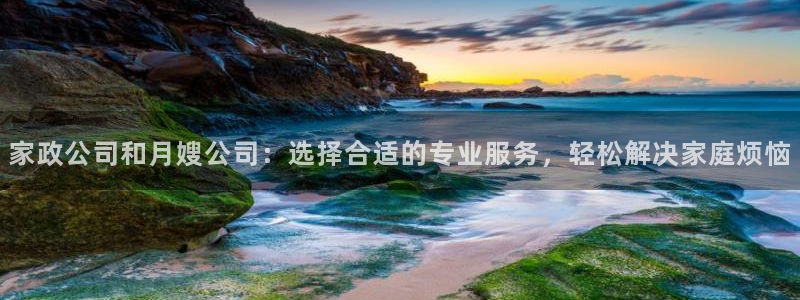 杏悦招商地址