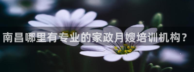 杏悦平台代理怎么样可靠吗