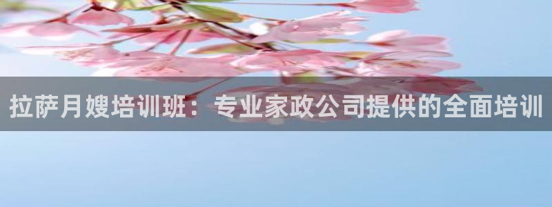 杏悦官方平台官网入口
