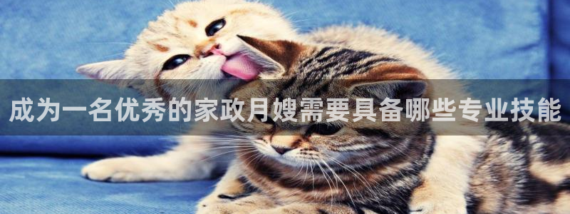 杏悦平台代理怎么赚钱快