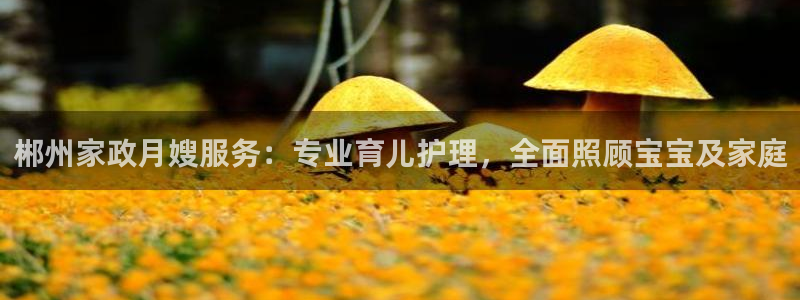 杏悦官方平台是正品吗知乎