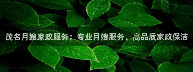 杏悦官方平台官网入口