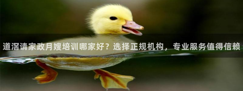 杏悦平台可靠吗可信吗安全吗