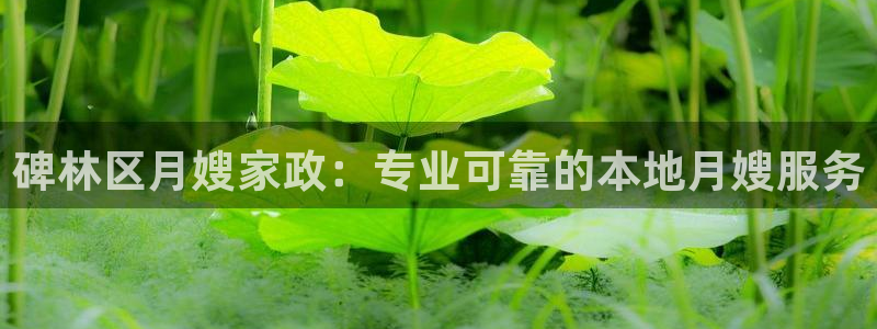 杏悦登陆地址