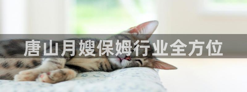 杏悦平台代理怎么做