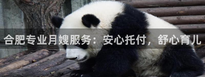 杏悦平台代理怎么赚钱的