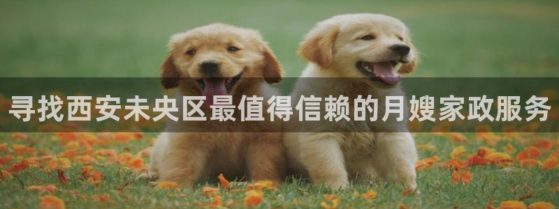 杏悦平台代理怎么样赚钱