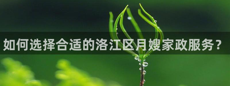 杏悦平台招商