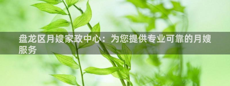 杏悦招商地址