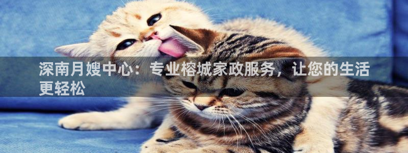 杏悦平台登陆