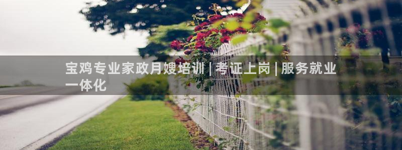 杏悦官方平台官网