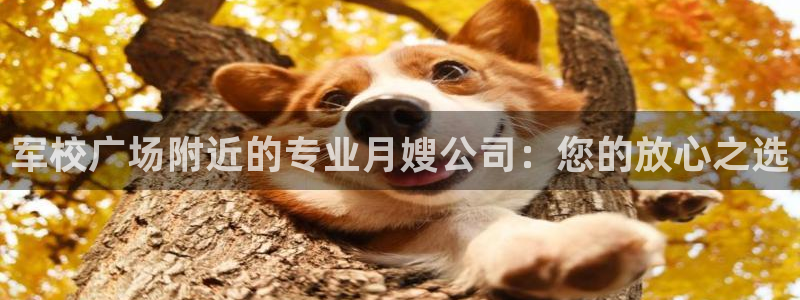 杏悦是什么