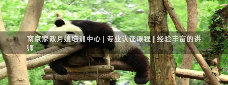杏悦官方平台官网下载