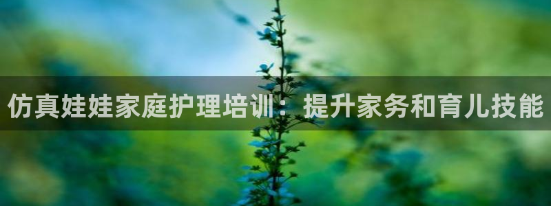 杏悦平台代理怎么赚钱