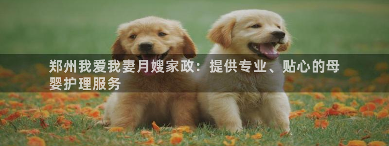 杏悦平台公司介绍