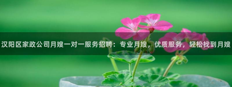 杏悦平台开户地址是什么