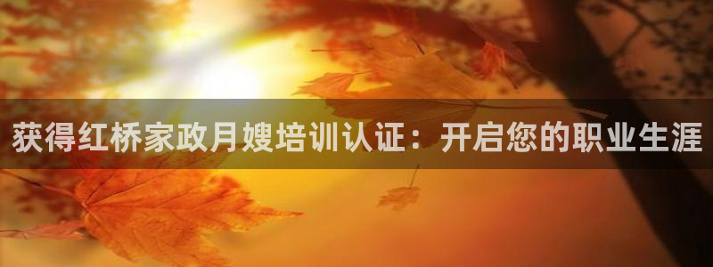 杏悦平台代理