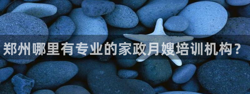 杏悦t首选推荐平台