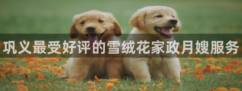 杏悦平台可靠吗是真的吗还是假的