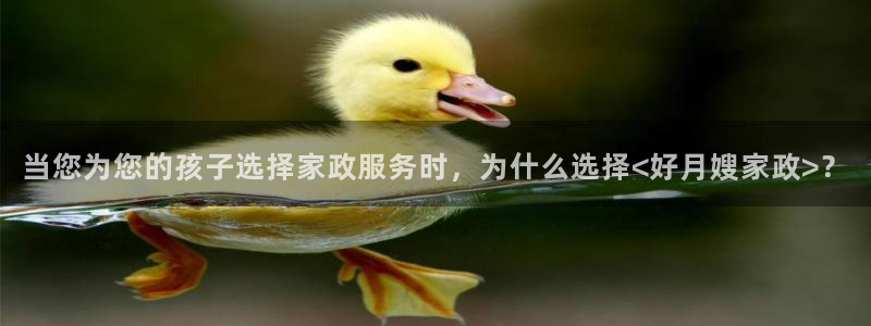 杏悦t首选推荐平台