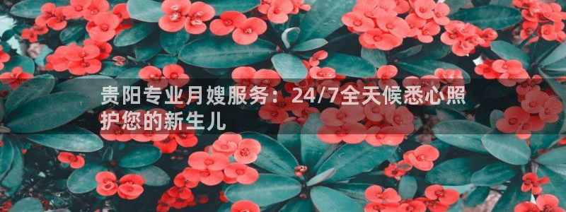 杏悦平台主管