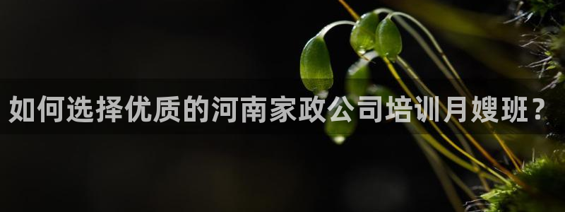 杏悦平台可靠吗是真的吗知乎